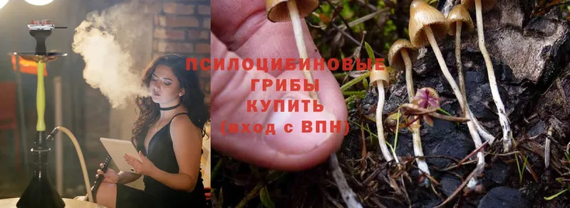 Псилоцибиновые грибы Magic Shrooms  цена наркотик  Вязники 